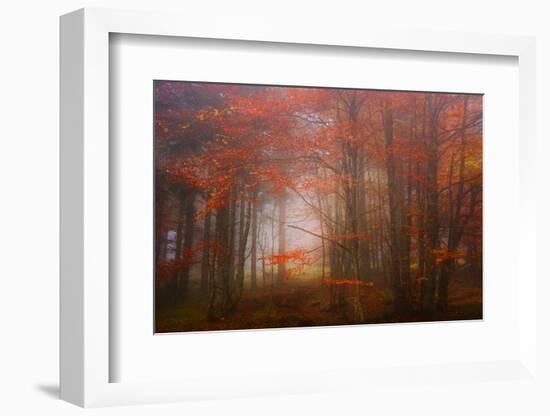 Autumn Mood-Philippe Sainte-Laudy-Framed Photographic Print