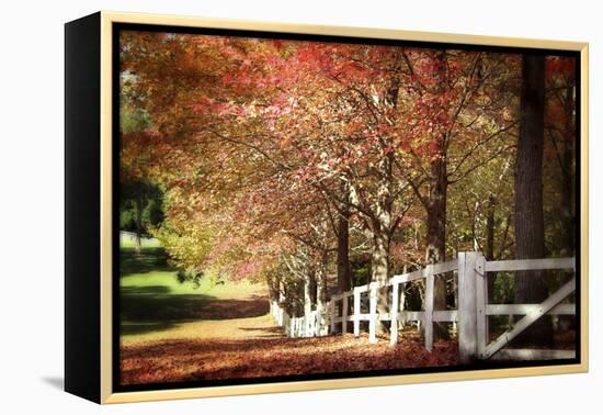 Autumn Moods-Incredi-Framed Premier Image Canvas