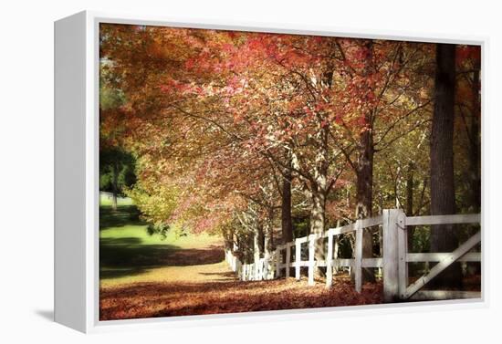 Autumn Moods-Incredi-Framed Premier Image Canvas