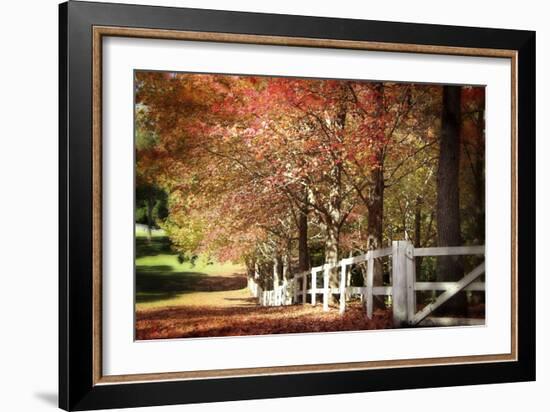 Autumn Moods-Incredi-Framed Photographic Print