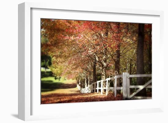 Autumn Moods-Incredi-Framed Photographic Print
