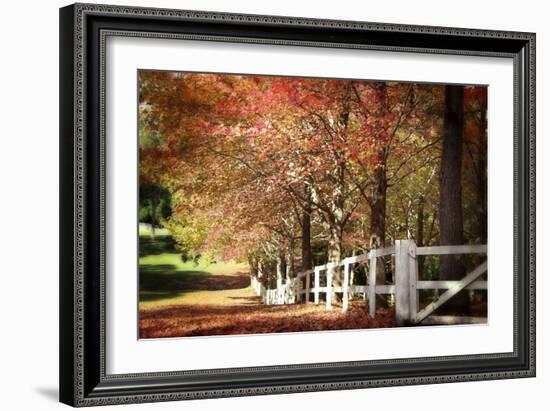 Autumn Moods-Incredi-Framed Photographic Print