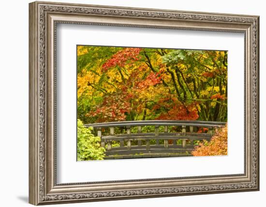 Autumn, Moon Bridge, Portland, Oregon, Usa-Michel Hersen-Framed Photographic Print