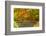 Autumn, Moon Bridge, Portland, Oregon, Usa-Michel Hersen-Framed Photographic Print