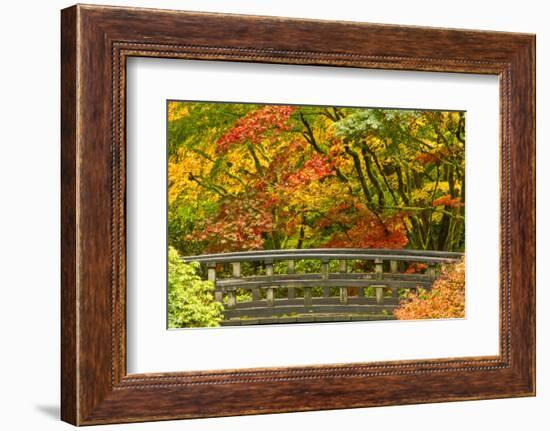 Autumn, Moon Bridge, Portland, Oregon, Usa-Michel Hersen-Framed Photographic Print
