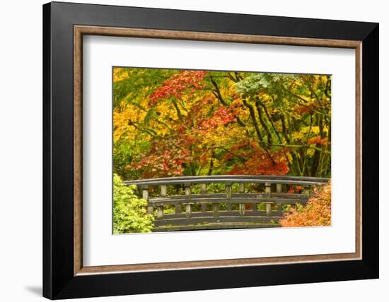 Autumn, Moon Bridge, Portland, Oregon, Usa-Michel Hersen-Framed Photographic Print