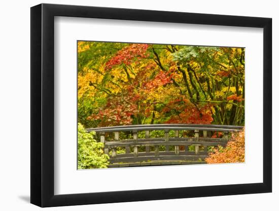 Autumn, Moon Bridge, Portland, Oregon, Usa-Michel Hersen-Framed Photographic Print