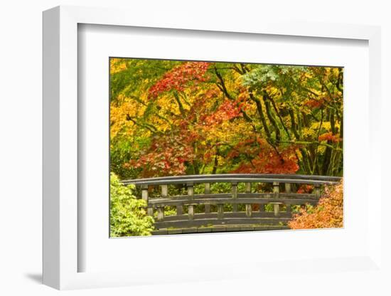 Autumn, Moon Bridge, Portland, Oregon, Usa-Michel Hersen-Framed Photographic Print