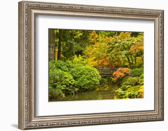 Autumn, Moon Bridge, Portland, Oregon, Usa-Michel Hersen-Framed Photographic Print