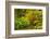 Autumn, Moon Bridge, Portland, Oregon, Usa-Michel Hersen-Framed Photographic Print