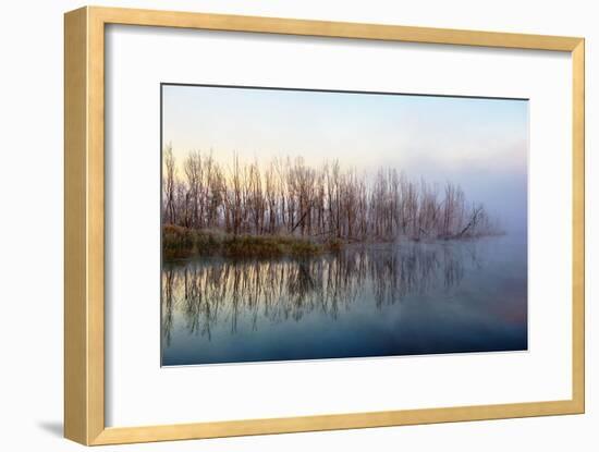 Autumn Morning and Fog on the River, the Autumn Season-Andriy Solovyov-Framed Photographic Print