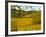 Autumn Morning in Pouilly-Fuisse Vineyards, France-Lisa S. Engelbrecht-Framed Photographic Print