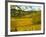 Autumn Morning in Pouilly-Fuisse Vineyards, France-Lisa S. Engelbrecht-Framed Photographic Print