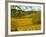 Autumn Morning in Pouilly-Fuisse Vineyards, France-Lisa S. Engelbrecht-Framed Photographic Print