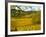 Autumn Morning in Pouilly-Fuisse Vineyards, France-Lisa S. Engelbrecht-Framed Photographic Print