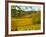 Autumn Morning in Pouilly-Fuisse Vineyards, France-Lisa S. Engelbrecht-Framed Photographic Print