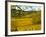 Autumn Morning in Pouilly-Fuisse Vineyards, France-Lisa S. Engelbrecht-Framed Photographic Print