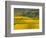 Autumn Morning in Pouilly-Fuisse Vineyards, France-Lisa S. Engelbrecht-Framed Photographic Print