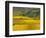 Autumn Morning in Pouilly-Fuisse Vineyards, France-Lisa S. Engelbrecht-Framed Photographic Print