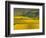 Autumn Morning in Pouilly-Fuisse Vineyards, France-Lisa S. Engelbrecht-Framed Photographic Print