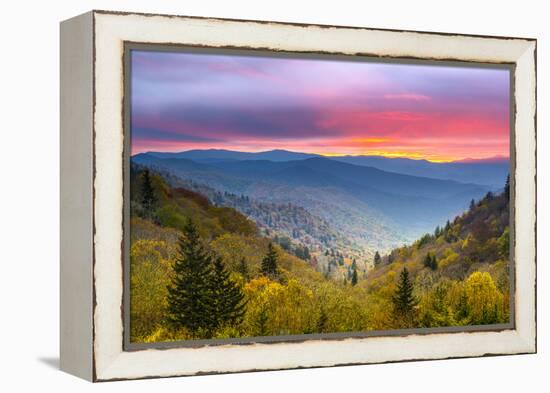 Autumn Morning in the Smoky Mountains National Park.-SeanPavonePhoto-Framed Premier Image Canvas
