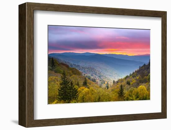 Autumn Morning in the Smoky Mountains National Park.-SeanPavonePhoto-Framed Photographic Print