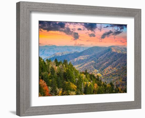 Autumn Morning in the Smoky Mountains National Park-Sean Pavone-Framed Photographic Print