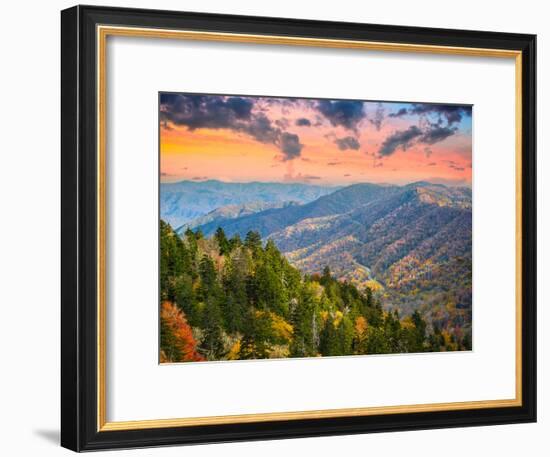 Autumn Morning in the Smoky Mountains National Park-Sean Pavone-Framed Photographic Print