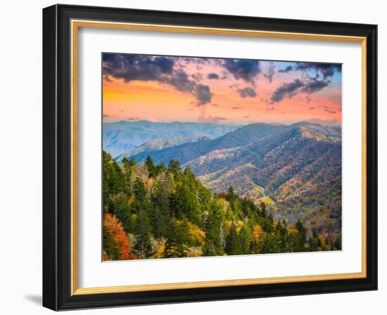 Autumn Morning in the Smoky Mountains National Park-Sean Pavone-Framed Photographic Print