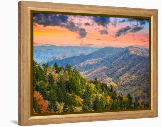 Autumn Morning in the Smoky Mountains National Park-Sean Pavone-Framed Premier Image Canvas