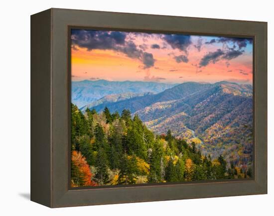 Autumn Morning in the Smoky Mountains National Park-Sean Pavone-Framed Premier Image Canvas