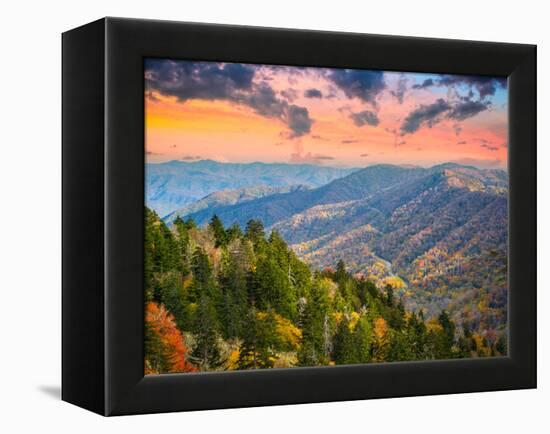 Autumn Morning in the Smoky Mountains National Park-Sean Pavone-Framed Premier Image Canvas