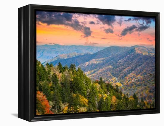 Autumn Morning in the Smoky Mountains National Park-Sean Pavone-Framed Premier Image Canvas