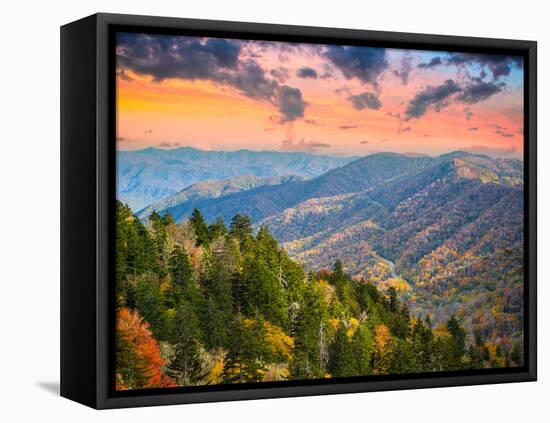 Autumn Morning in the Smoky Mountains National Park-Sean Pavone-Framed Premier Image Canvas