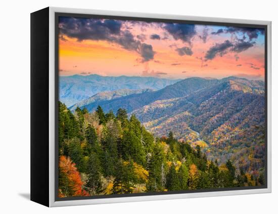 Autumn Morning in the Smoky Mountains National Park-Sean Pavone-Framed Premier Image Canvas