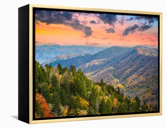 Autumn Morning in the Smoky Mountains National Park-Sean Pavone-Framed Premier Image Canvas