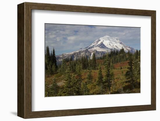 Autumn morning, Mount Rainier-Ken Archer-Framed Photographic Print