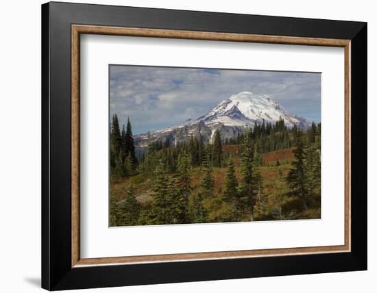 Autumn morning, Mount Rainier-Ken Archer-Framed Photographic Print