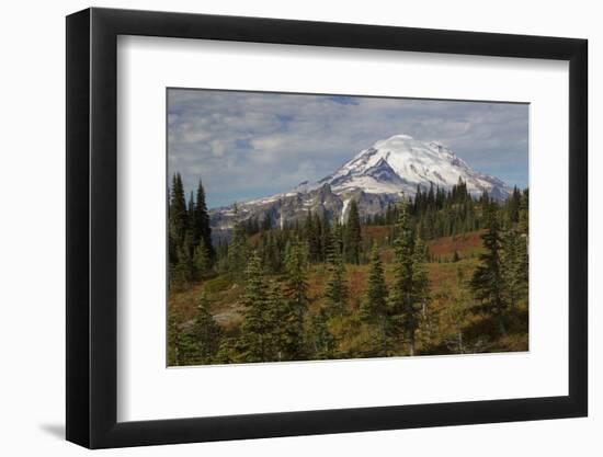 Autumn morning, Mount Rainier-Ken Archer-Framed Photographic Print