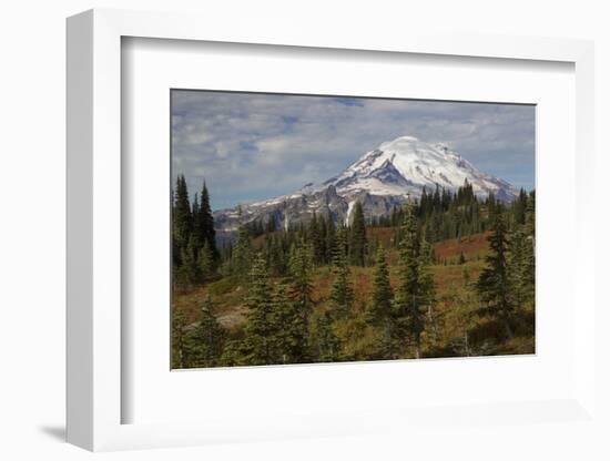 Autumn morning, Mount Rainier-Ken Archer-Framed Photographic Print