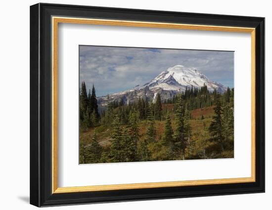 Autumn morning, Mount Rainier-Ken Archer-Framed Photographic Print