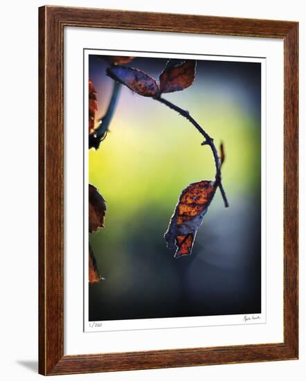 Autumn Morning-Michelle Wermuth-Framed Giclee Print