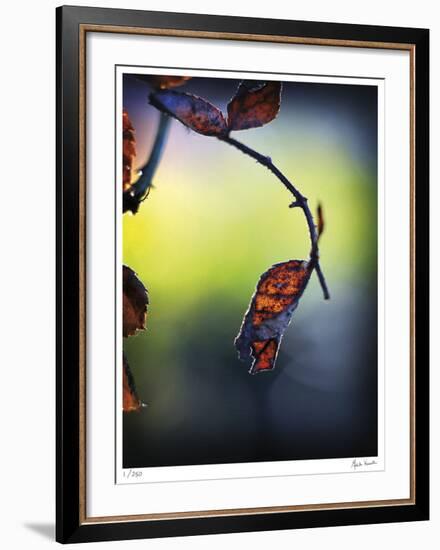 Autumn Morning-Michelle Wermuth-Framed Giclee Print