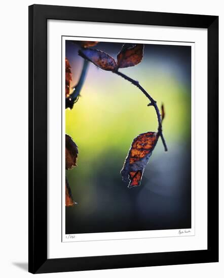Autumn Morning-Michelle Wermuth-Framed Giclee Print