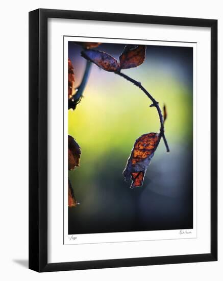 Autumn Morning-Michelle Wermuth-Framed Limited Edition