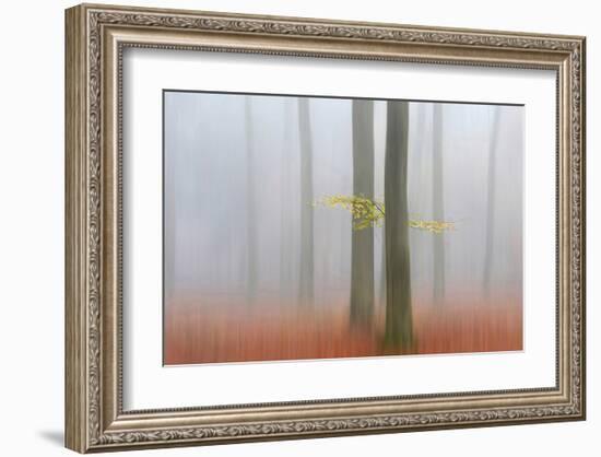 Autumn Morning-null-Framed Art Print