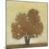 Autumn Morning-Norman Wyatt Jr.-Mounted Art Print