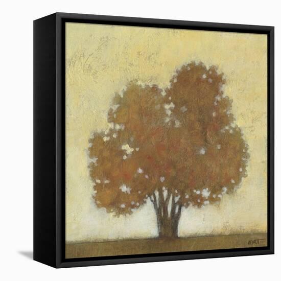 Autumn Morning-Norman Wyatt Jr.-Framed Stretched Canvas