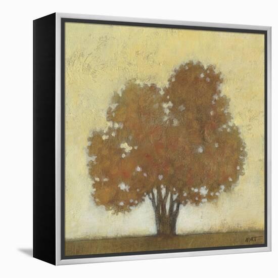 Autumn Morning-Norman Wyatt Jr.-Framed Stretched Canvas