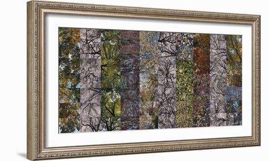 Autumn Mosaic-Sharon Elphick-Framed Giclee Print